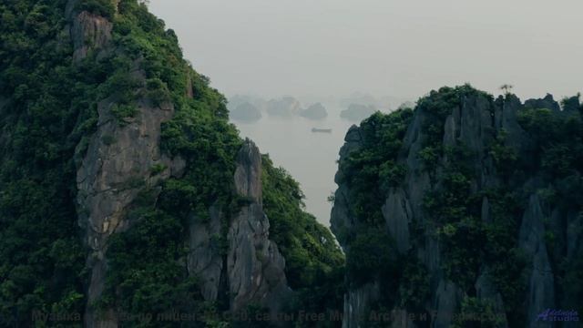 Почему этот клип вызывает непреодолимую тягу к путешествиям - Mushrooms -- Ketsa -- The Calling