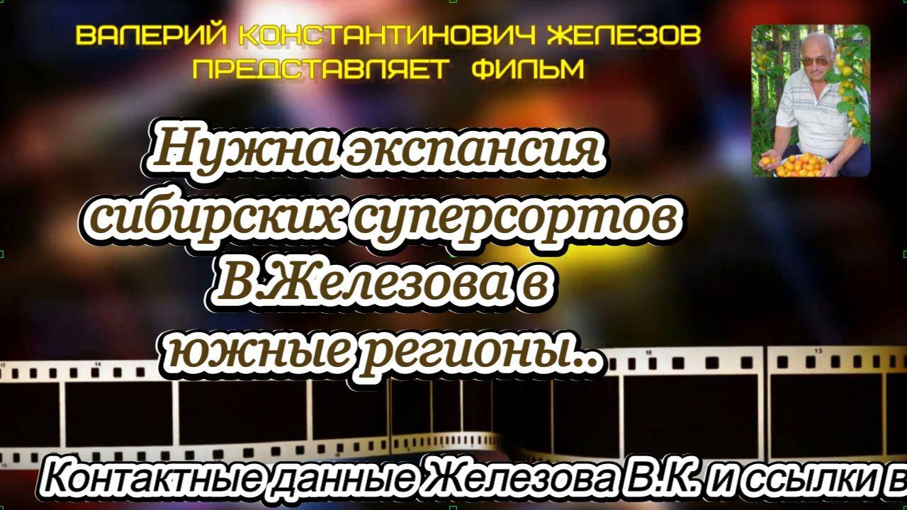 Нужна экспансия сибирских суперсортов В.Железова в южные регионы.
