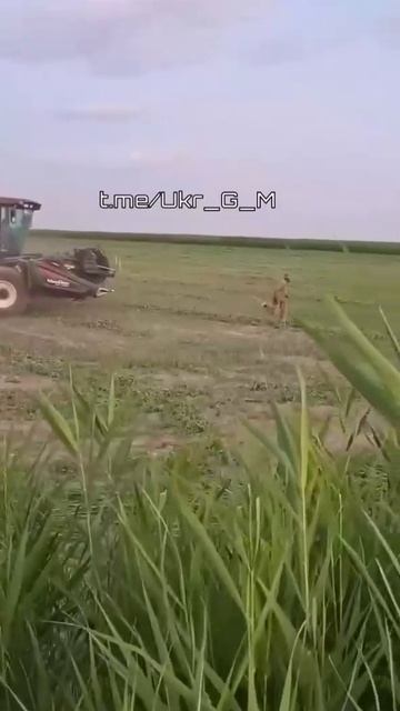 🇺🇦 Геноцидники из ТЦК совместно с антиполицаями продолжают устраивать облавы на мужское население