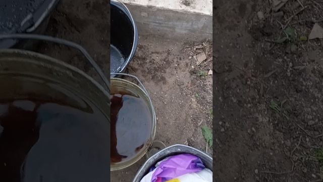 Три селитры для огурцов)