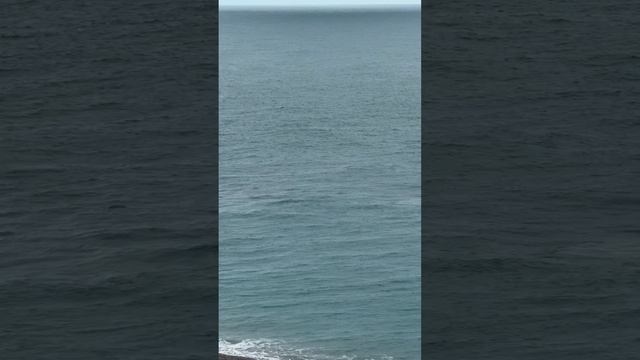 Абхазия, в такую погоду в море плавают только Дельфины.