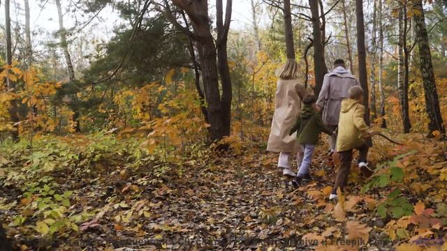 Это не просто клип - это путешествие в страну любви! - Changes -- Jim Hall -- MishMash EP