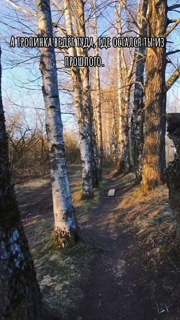 Моё первое видео🙂.  Музыкальный фон возвращает лет на 15 назад, как минимум🌲🪾🌱