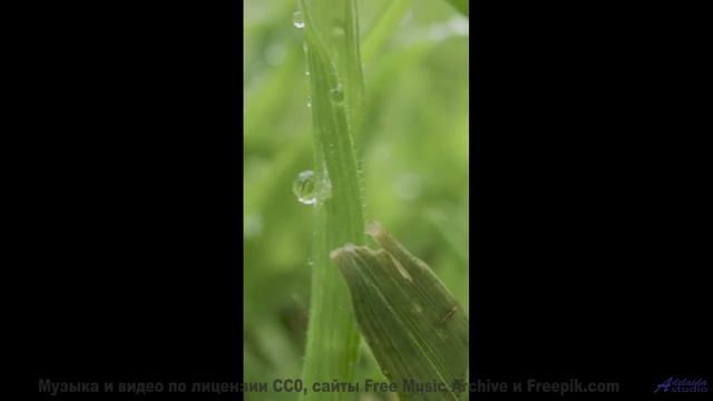 Каждая секунда - будто пощёчина красотой и звуком - Pastures -- Ketsa -- As Above So Below