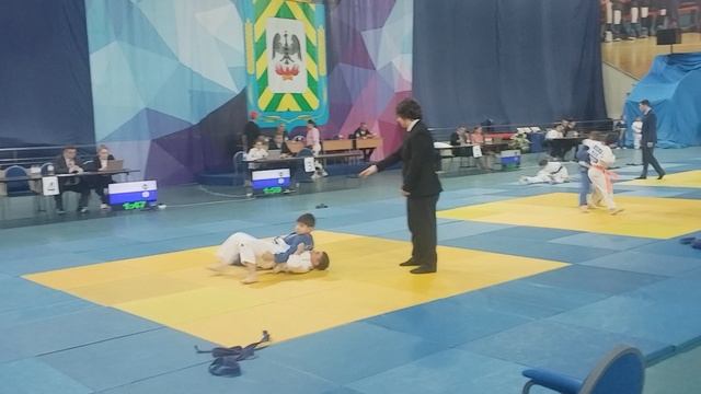Соревнования по дзюдо Видное