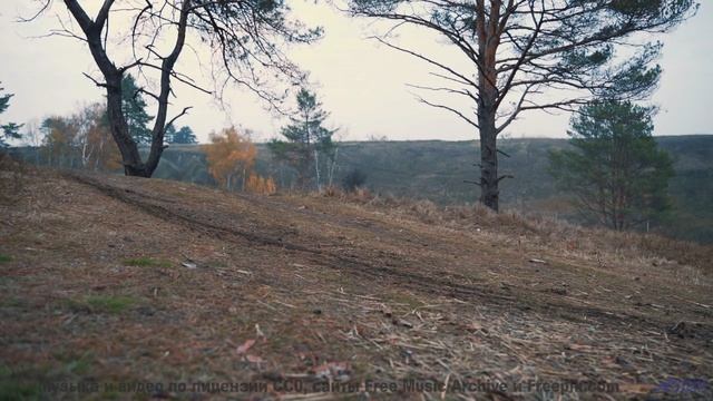 Музыка проникает глубже любого дыхания - undeclared and undefined -- Tinmouth -- Surprise time