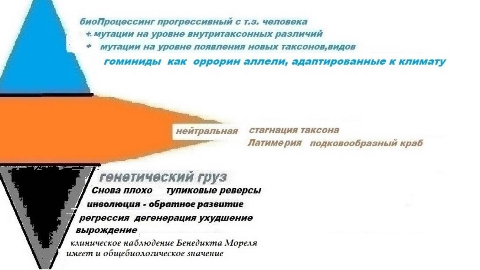 3-1-2  Понятие жизни  Принципиальные минимальные свойства  selfsurvival  selfborn  Адаптация