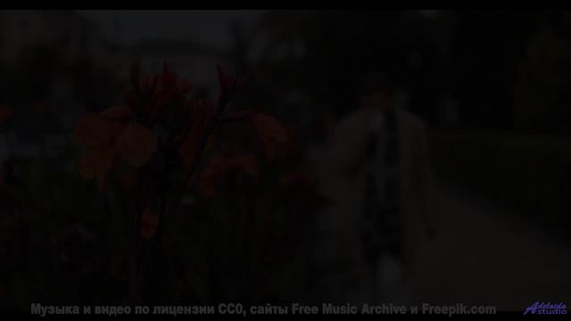 Сердце стучит в такт музыке на фоне этих видов - Bashful -- Ketsa -- Abundance