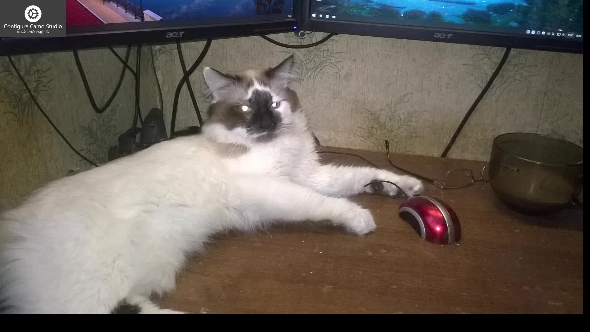 играю для души
