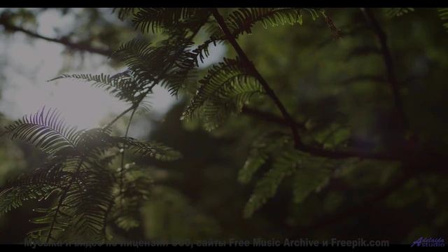 Мелодия, делающая даже сломанный указатель частью вашей истории - Obscure -- Mello C -- 7 Beats