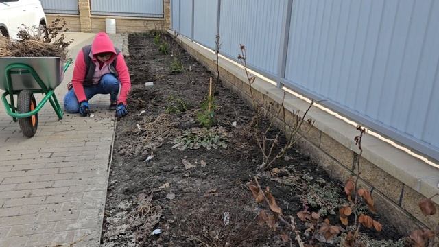Будни садовода. Работа в саду. Весенняя уборка. Влог.
