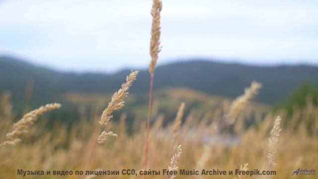 Это место ВЫЗЫВАЕТ галлюцинации! - The Gospel Of The Earth -- Omura -- The Whales Bay