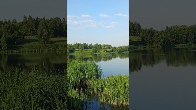 1000020270.mp4