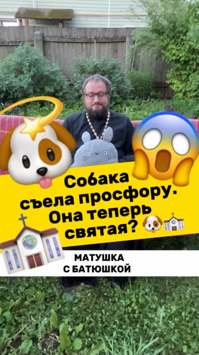 🌿🌸 Почемучка с батюшкой #почемучка #отношения #семья #любовь #юмор #религия #православие