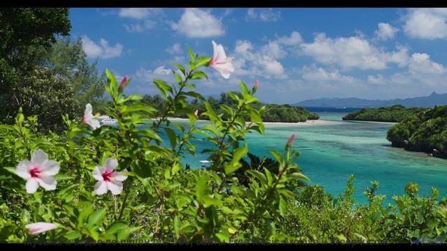 Вы не видели Землю такой, пока не услышали этот трек! - 20 Minute Meditation 4 -- HoliznaCC0 -- Spac