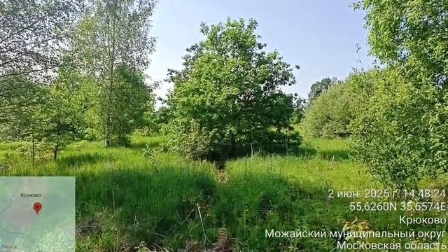 д. Крюково 50:18:0040202:575