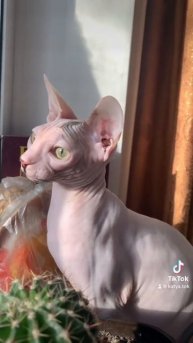 14 июля 2023 г.