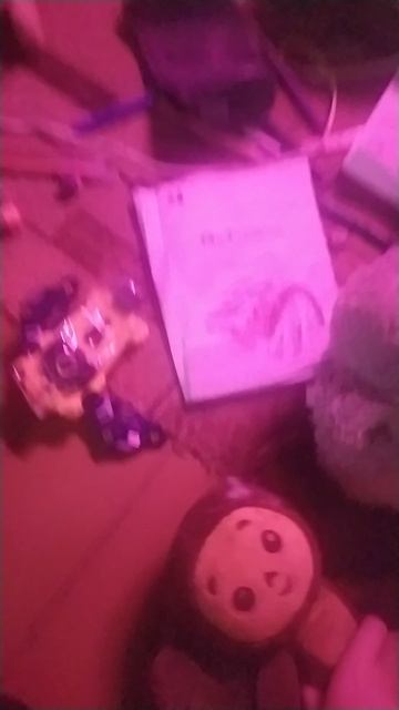 VID_20250617_190529.mp4