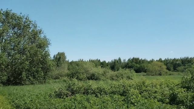 михайловское аукцион