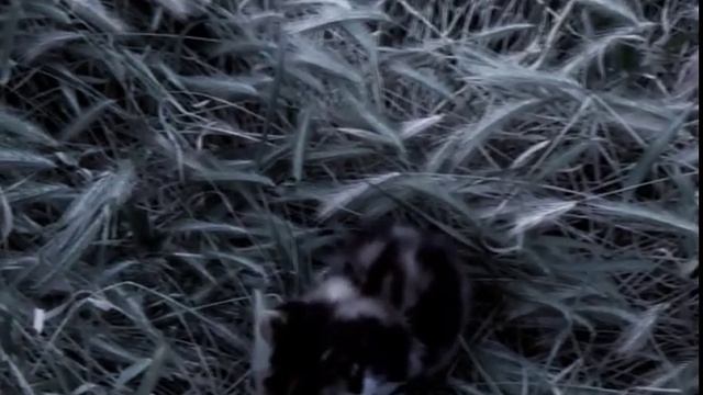 すべてがうまくいくでしょう。