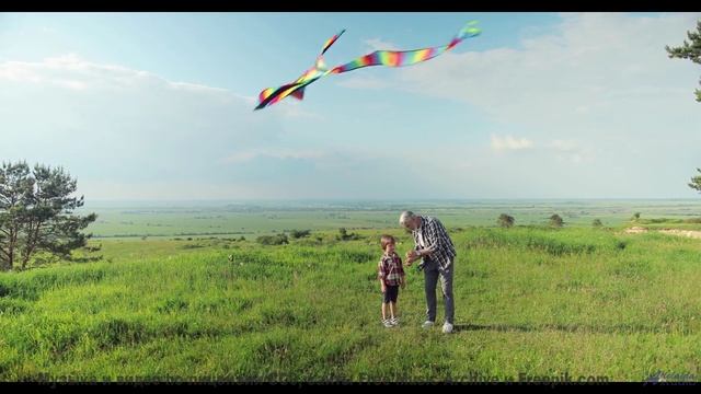 Душа поёт, а тело замирает при таких аккордах - Elephants On Parade -- Podington Bear -- Meet Poding