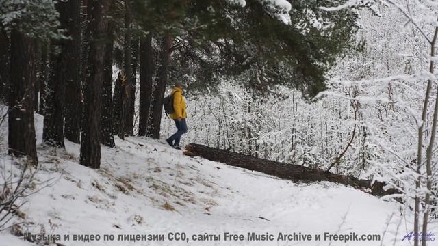 Когда музыка и природа создают что-то необъяснимое... - carlson blues -- Jean Toba -- a land where t