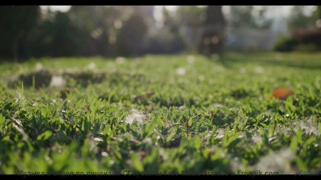 Включите и почувствуйте, как падают снежинки! - When We Were Young -- Derek Clegg -- Man on the Run