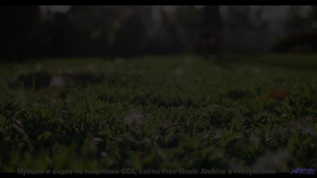 Ветер, звёзды и мелодия, которая сводит с ума... - Just-Because -- Ketsa -- Dimensions