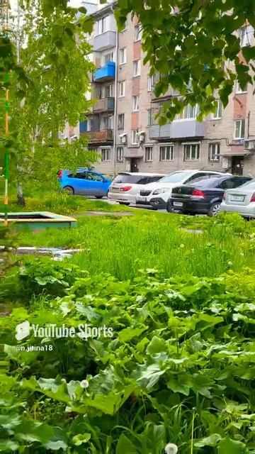 #новокузнецк #город #природа #2025 #музыка #shortvideo #status #shorts #music #short #надеждажитина
