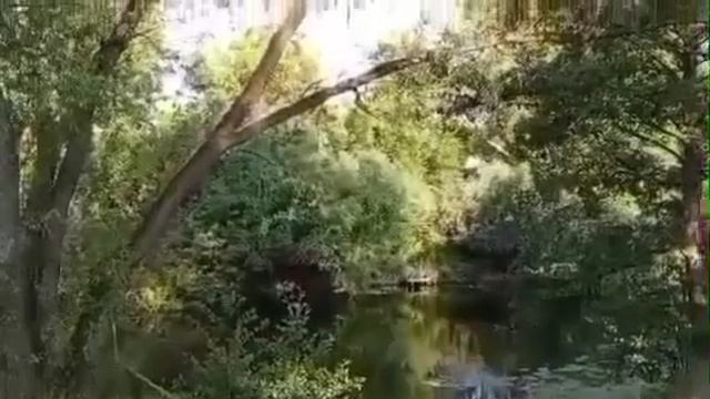 The best video, 2025
