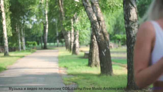 Когда карта на коленях и его рука на ручке переключения передач - shes wrong -- Vincent Augustus --