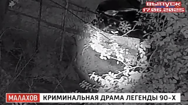 Малахов 17.06.2025

Звезда 90-х Татьяна Назарова в центре громкого конфликта с соседями

Автор попул