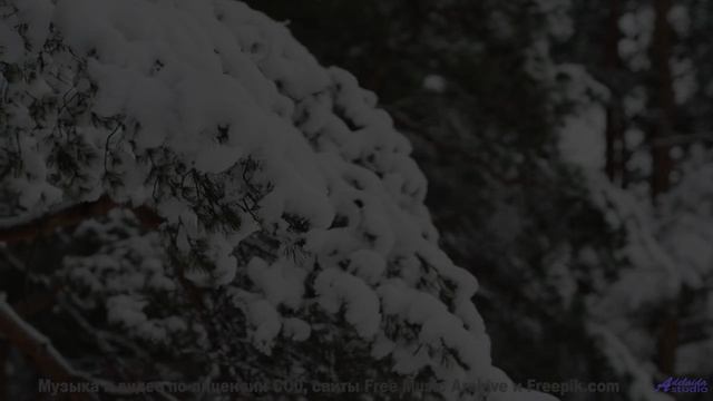 Мелодия превращает кадры в личный портал в мечты - Springtime -- Holle Mangler -- Escape Over Needle