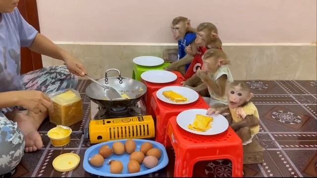 Обезьянки 4 малышки едят гренки жареные с яйцом за столиками Домашняя еда