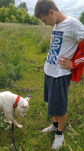Климент # Шереметьевский приют