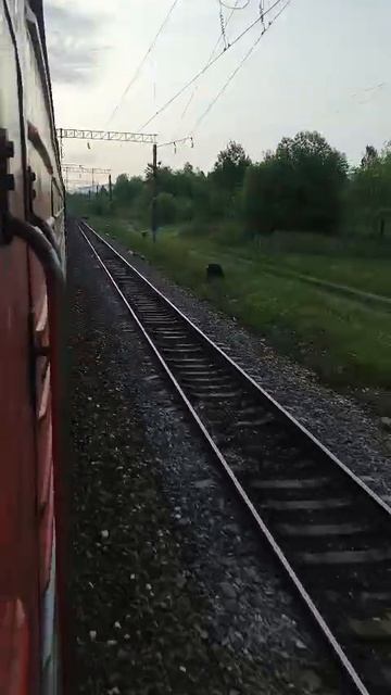 Медведь