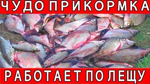 СУПЕР ПРИКОРМКА НА ЛЕЩА 2025 — секретный рецепт для ловли на фидер летом