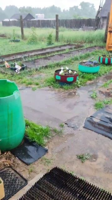 Про нашу жизнь 😅