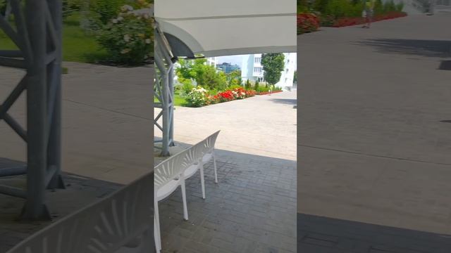 1000071063.mp4