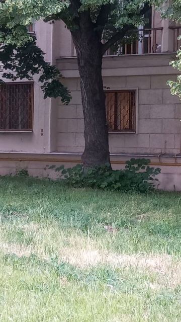 Закопанные города. закопанная Москва.