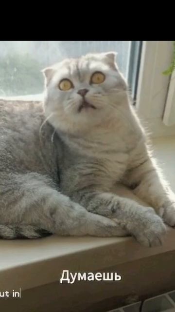Косячишь на всю катушку...