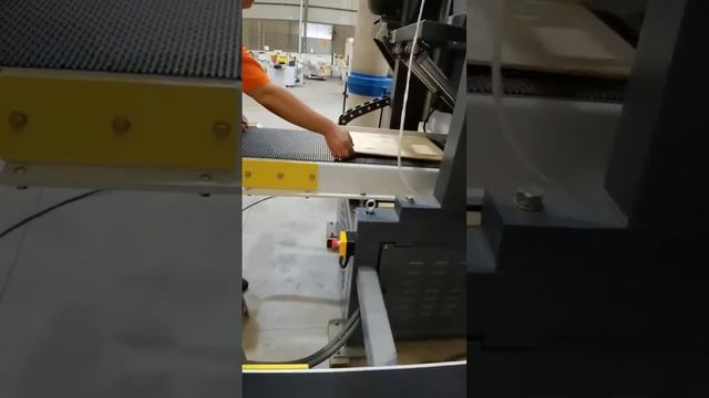 Тончайшее деление деревянного щита на ленточно-делительном станке SL 500  - 2.8 мм!