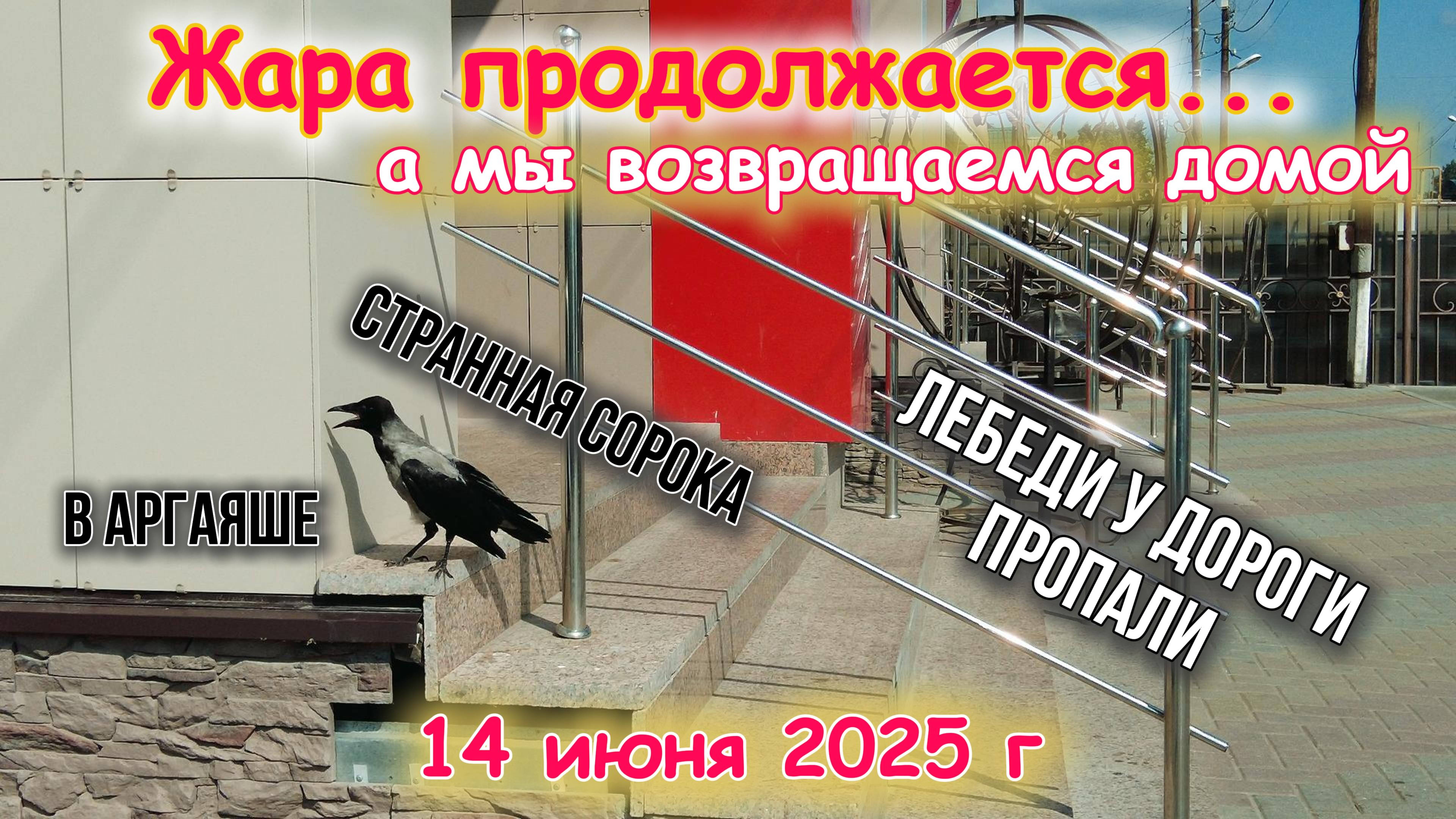 Жара продолжается, а мы едем домой 14 июня 2025 г