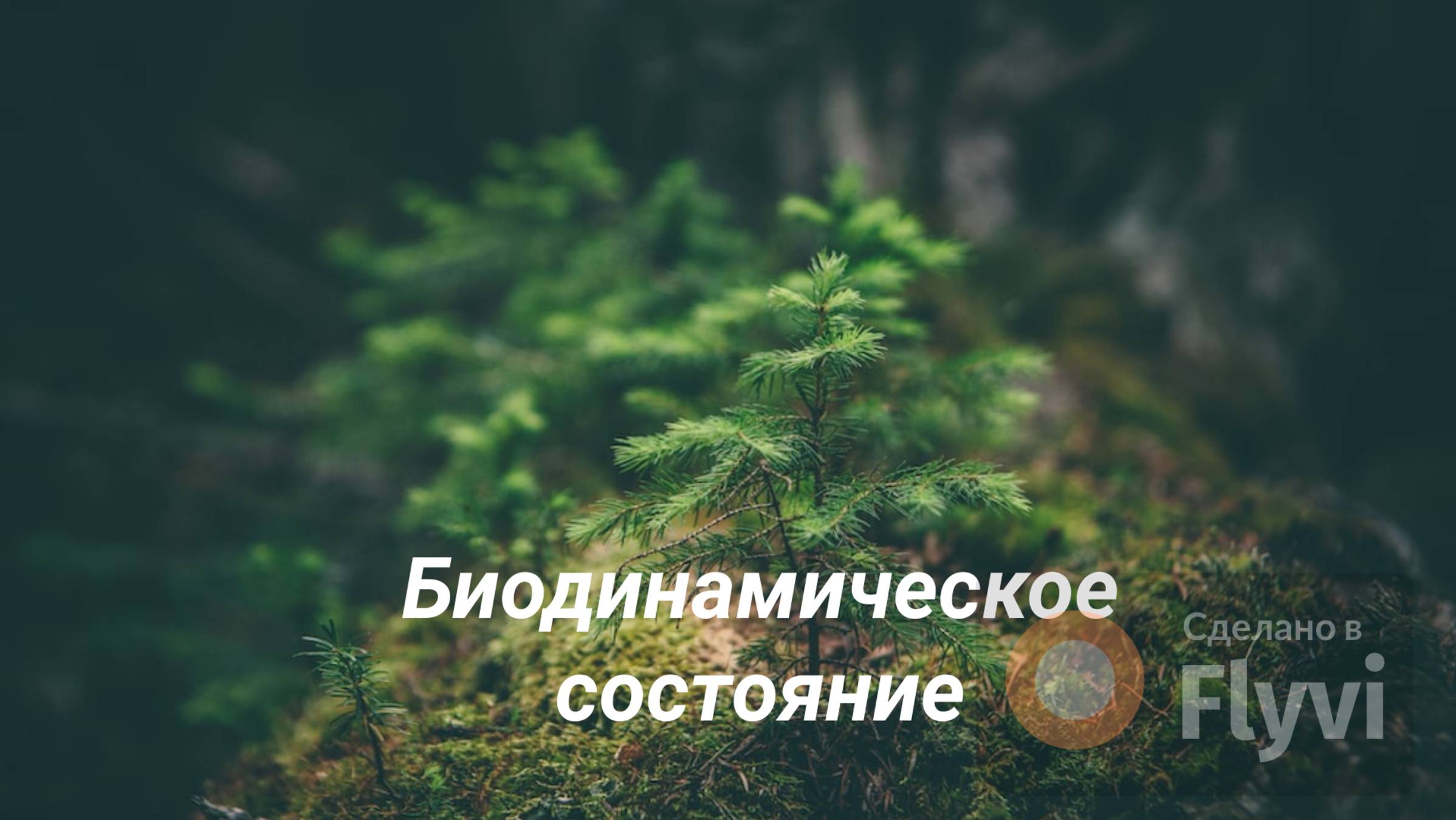 Биодинамическое состояние
