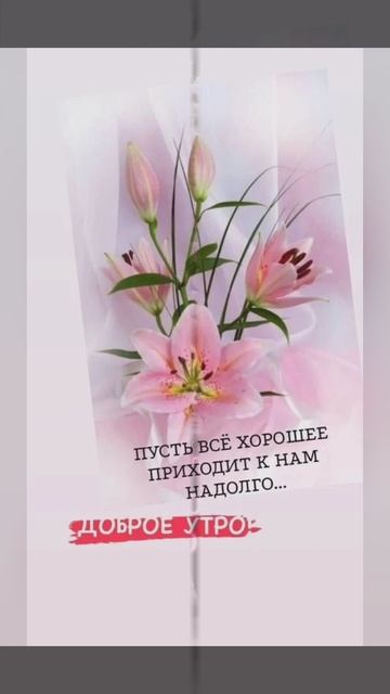доброе утро