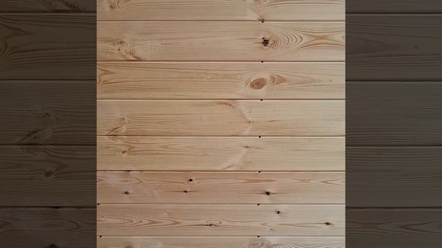 1000026746.mp4 (Собака смотрит на крепление имитации бруса внутри дома А-фрейм)