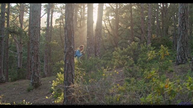 Ритмы поднимают над землёй и несут сквозь леса - Sun Hope -- Ketsa -- 5D