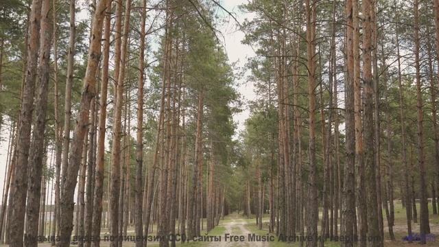 Этот пейзаж НЕ ДЛЯ СЛАБОНЕРВНЫХ! - I Hate It Here -- selfpity -- Unhappy Thoughts