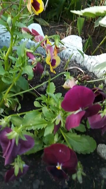 С добрым утром.