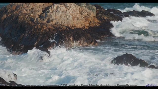 Песня, от которой по коже бегут мурашки страсти! - Street Light -- Quint Baker -- Psychic Catz Enoch